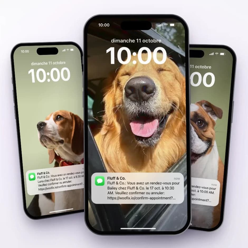 Téléphones affichant un texto de rappel de rendez-vous Woofix