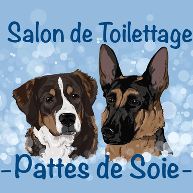 Salon de Toilettage Pattes de Soie