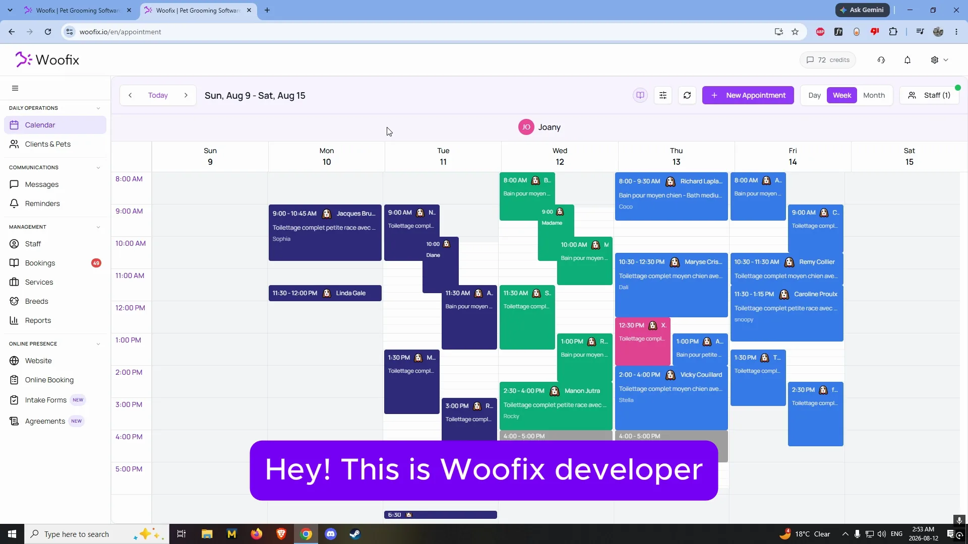 Woofix software preview